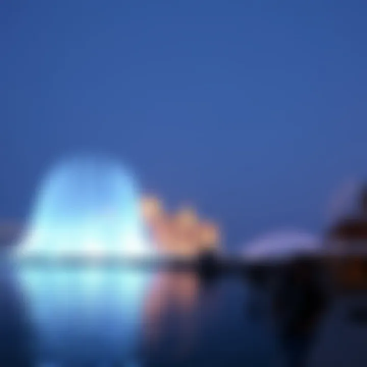 Magnificent The Magnificence of the Dubai Water Show: An In-Depth Exploration
