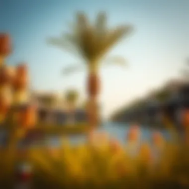 Community amenities and recreational spaces in Arabian Ranches 2