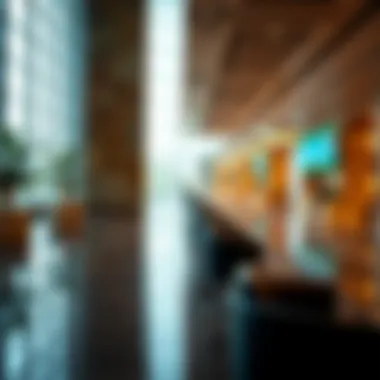Navigating UAE immigration system