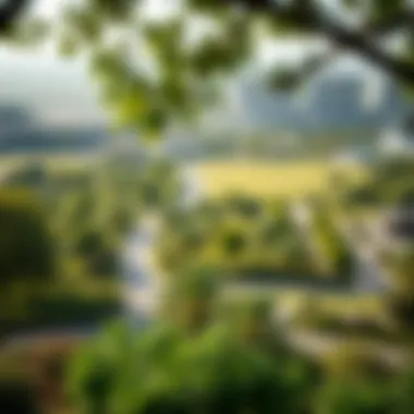 Overview of the lush green landscape and recreational areas in Damac Hills 2