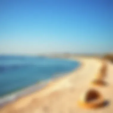 Exploring Meraas Beach: A Comprehensive Study Summary