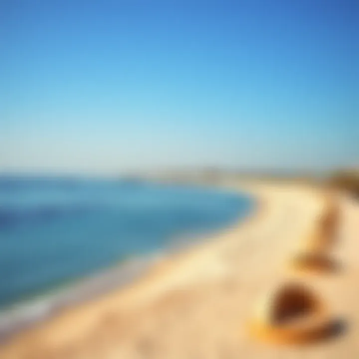 Exploring Meraas Beach: A Comprehensive Study Summary