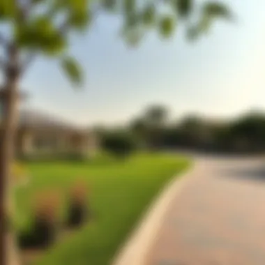 Community park in Jumeirah Park District One with lush greenery