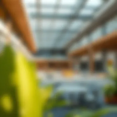 Notable Raffles Nursery: An Insight into Dubai Marina's Premier Educational Facility Notable Raffles Nursery: An Insight into Dubai Marina's Premier Educational Facility