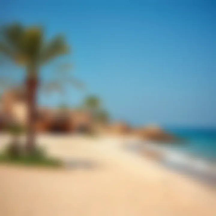 Sufouh Beach: Discovering Dubai's Hidden Gem Summary