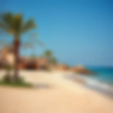 Sufouh Beach: Discovering Dubai's Hidden Gem Summary Sufouh Beach: Discovering Dubai's Hidden Gem Summary
