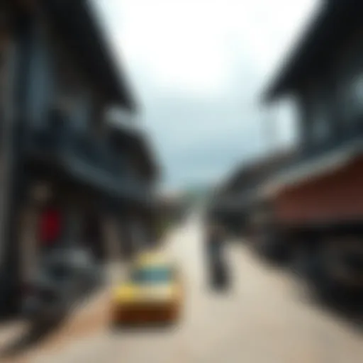 The Cultural Dynamics of Village Life Introduction