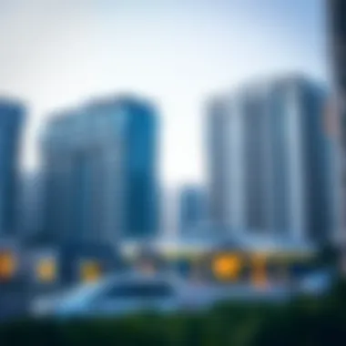 Understanding the Role of Credit Bureaus in Dubai's Real Estate Market Summary Understanding the Role of Credit Bureaus in Dubai's Real Estate Market Summary
